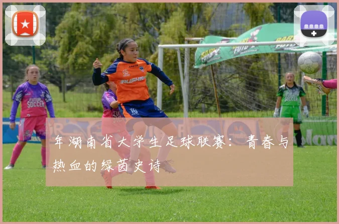 年湖南省大学生足球联赛:青春与热血的绿茵史诗