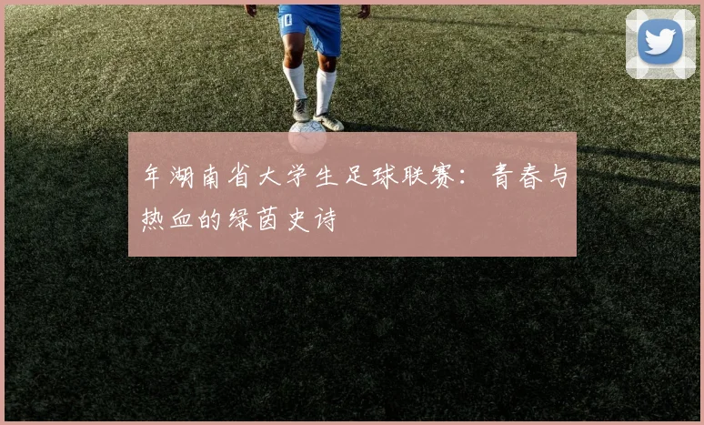 年湖南省大学生足球联赛:青春与热血的绿茵史诗
