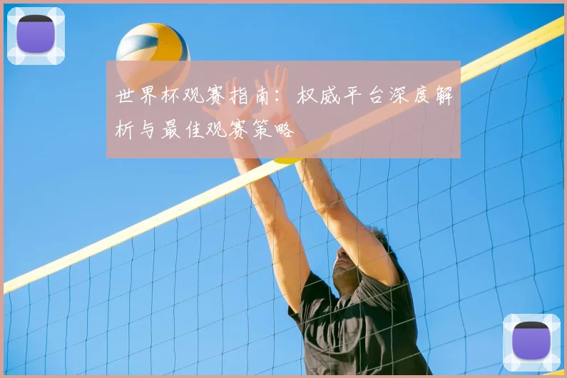 世界杯观赛指南:权威平台深度解析与最佳观赛策略